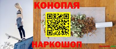 крисы Кандалакша