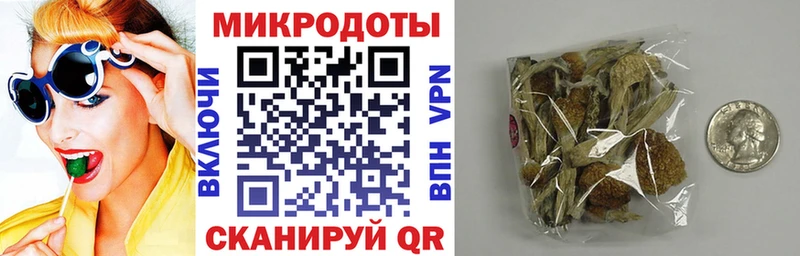 как найти наркотики  Набережные Челны  Галлюциногенные грибы мицелий 