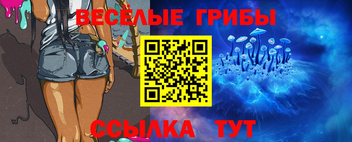 Галлюциногенные грибы Psilocybe  Вход с VPN  Набережные Челны 